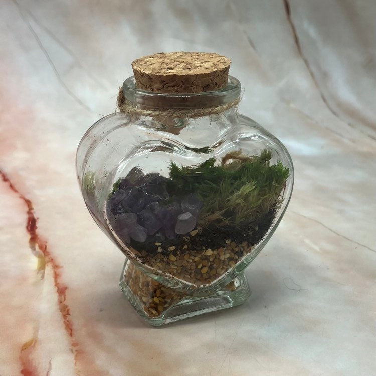 Self Sustaining Terrariums | Various Sizes