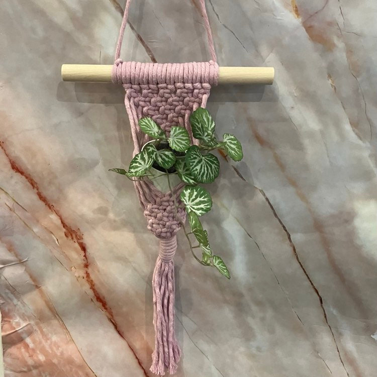 Small Succulent Macrame Hangers | Various Designs & Colours