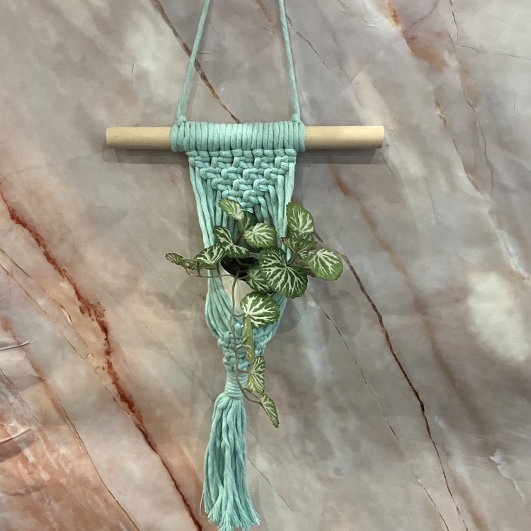 Small Succulent Macrame Hangers | Various Designs & Colours