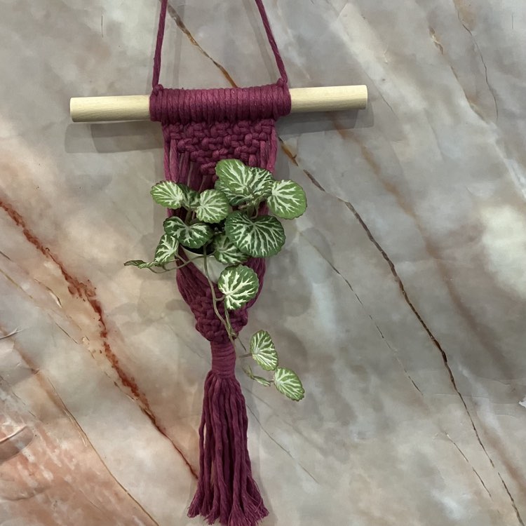 Small Succulent Macrame Hangers | Various Designs & Colours